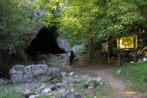 sesalačka pećina