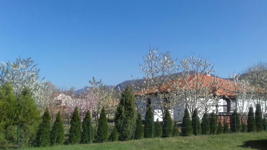 Kuća za odmor Milovanović, selo Gradašnica